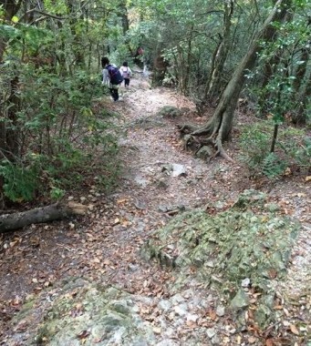 裏口の登山道