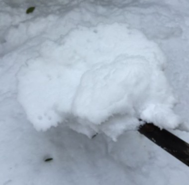 スコップで雪をすくう