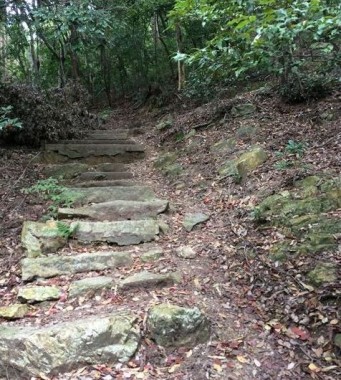 三上山の表口登り始めの石段