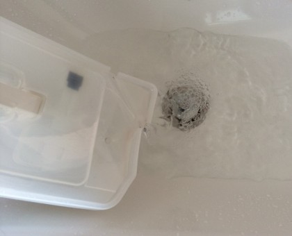 除湿機の水を捨てる
