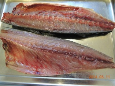 生鯖