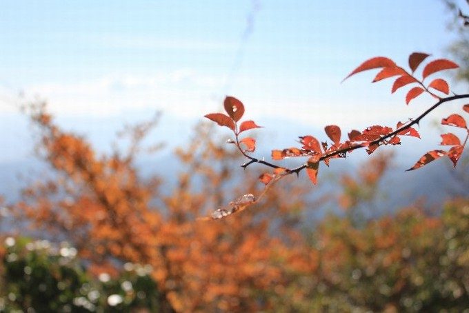 秋の山